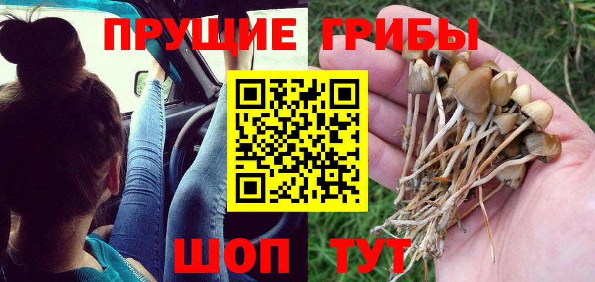 Галлюциногенные грибы GOLDEN TEACHER Рославль